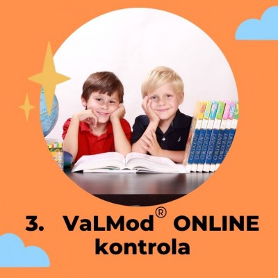 3. ONLINE kontrola